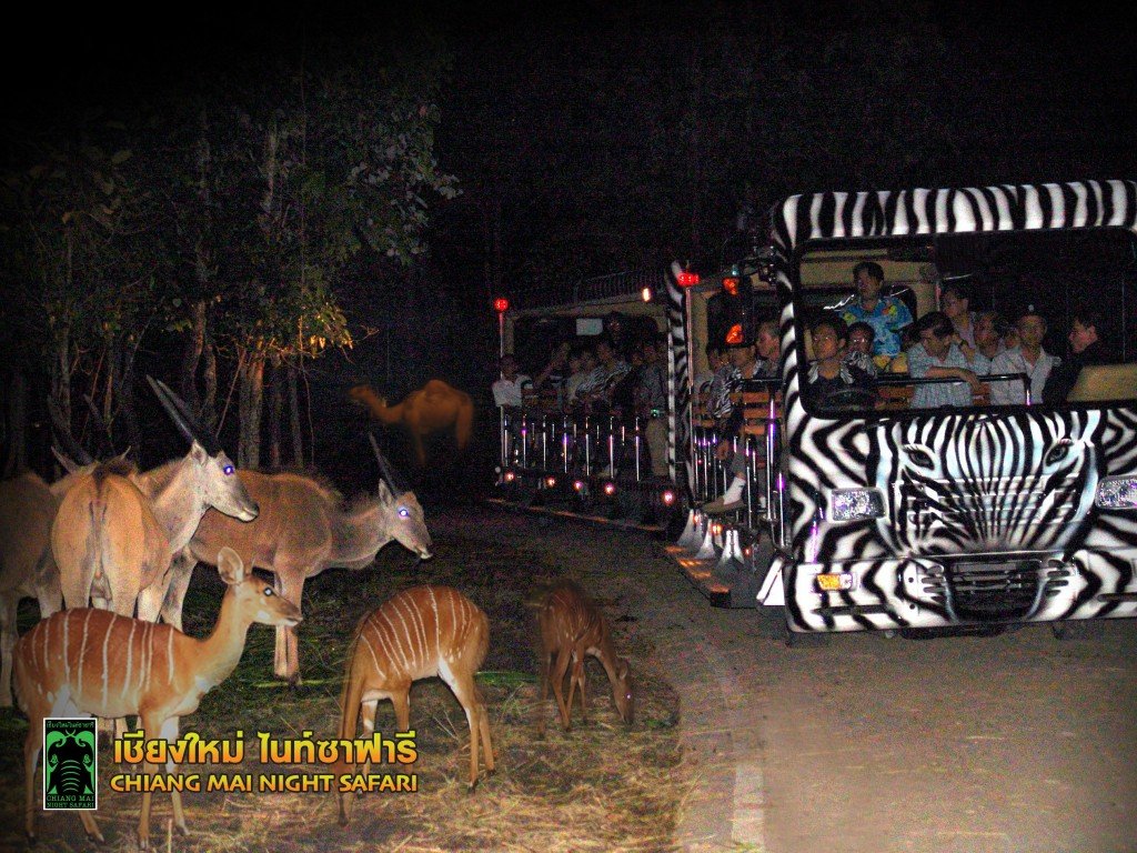 night safari japanese tram